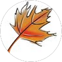 sapna bains profile picture